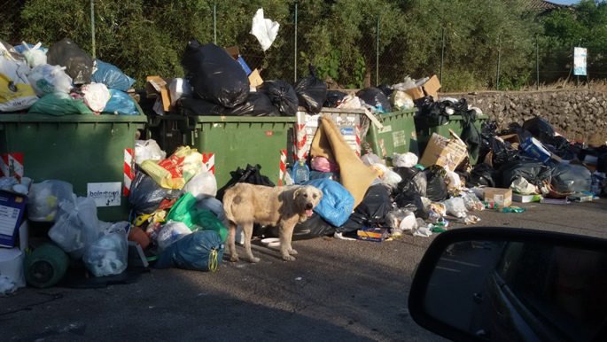 “Dillo a Yvii24”, licodiese segnala rifiuti in zona “Vigne”