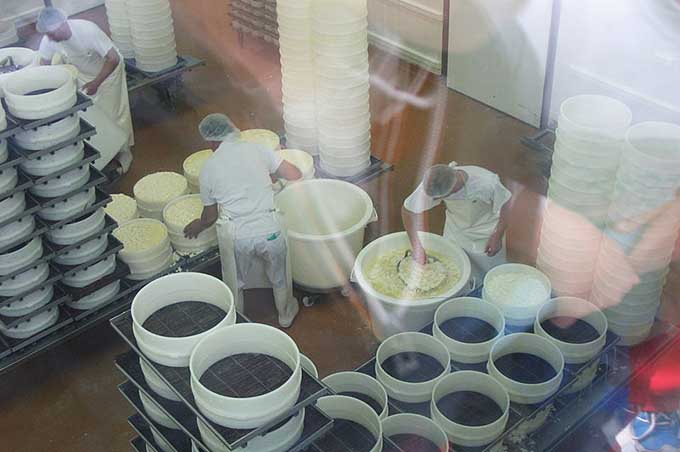 Paternò, azienda casearia sospesa per 9 dipendenti in nero