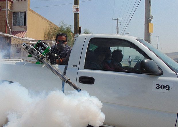 Santa Maria di Licodia. Domani disinfestazione delle vie cittadine