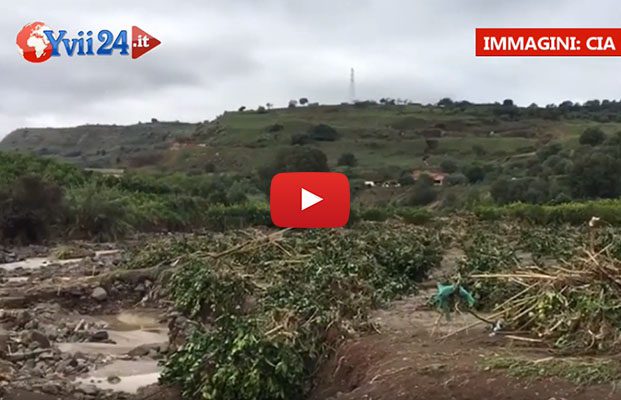 Nubifragio sul catanese: ingentissimi danni all’agricoltura