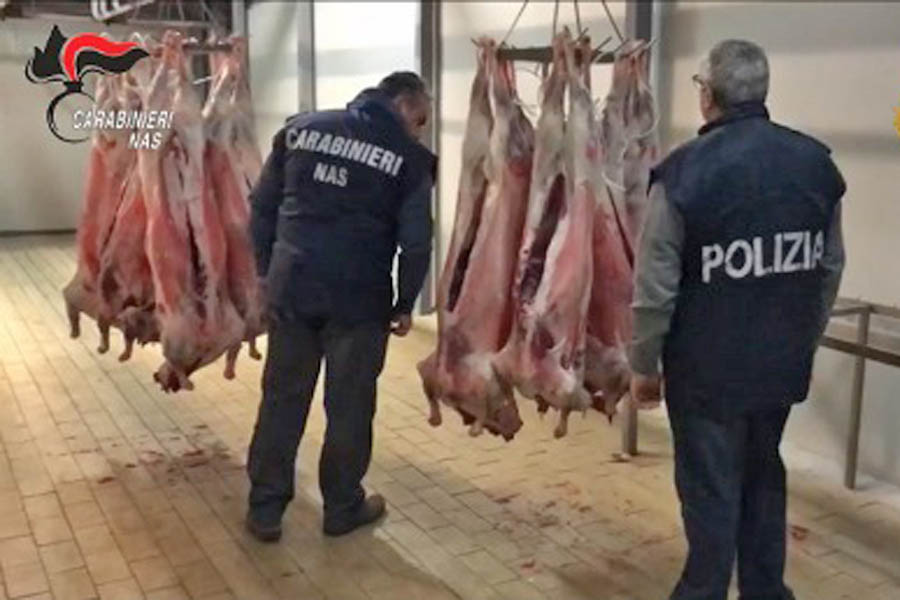 Paternò. Sequestrato mattatoio abusivo (CON VIDEO)
