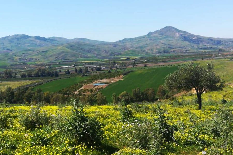 Paternò. “Agricoltura sociale” domani workshop a Palazzo Alessi