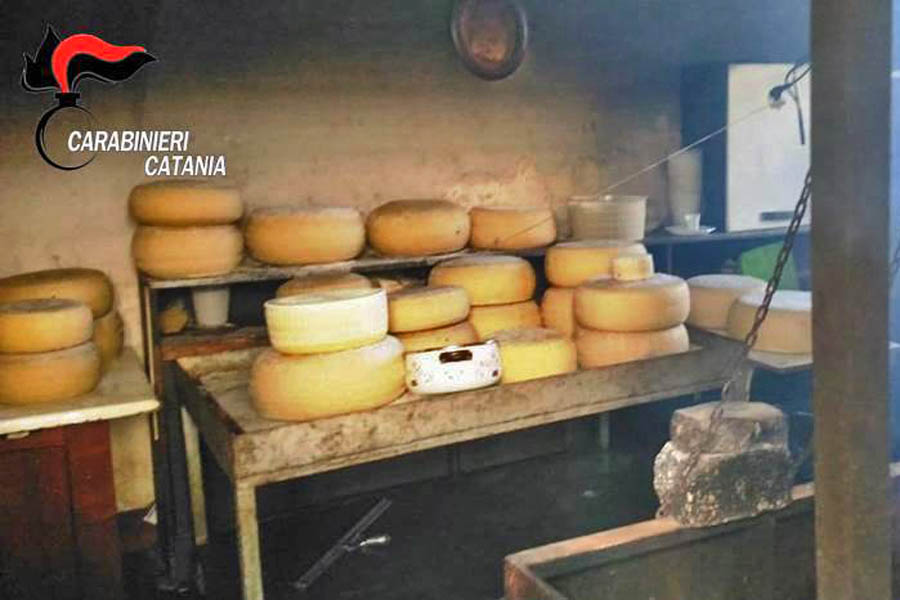 Pedara. Formaggi mal conservati, sequestrata azienda casearia