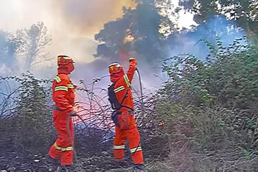 Ragalna. “Giornata per la riforma forestale”, oggi occupazione simbolica del Consiglio comunale