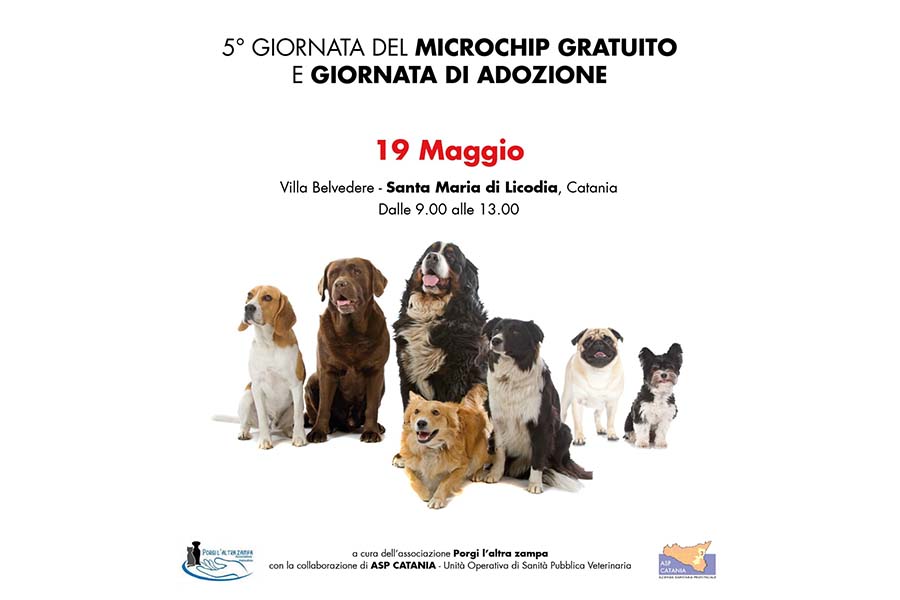 Santa Maria di Licodia. Domenica la “V Giornata del microchip gratuito”