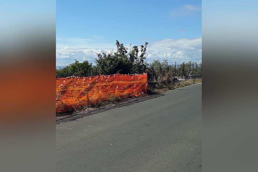 Motta Sant’Anastasia. Incidente automobilistico all’alba