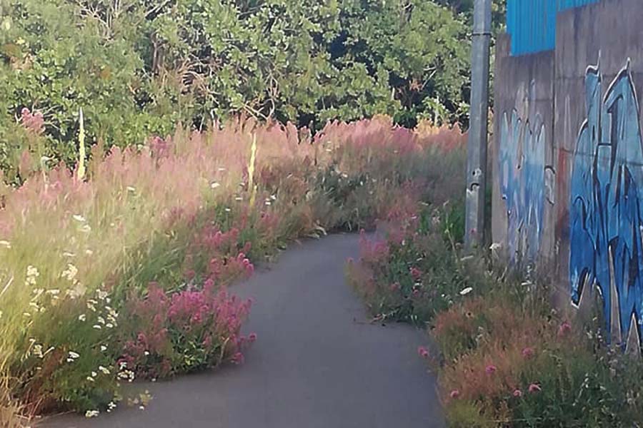 Adrano. Jogging nel degrado al “Dell’Etna”