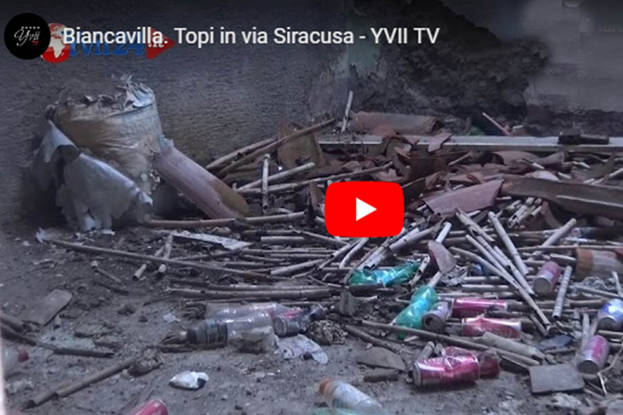 “Dillo a Yvii24”. Biancavilla, topi in via Siracusa