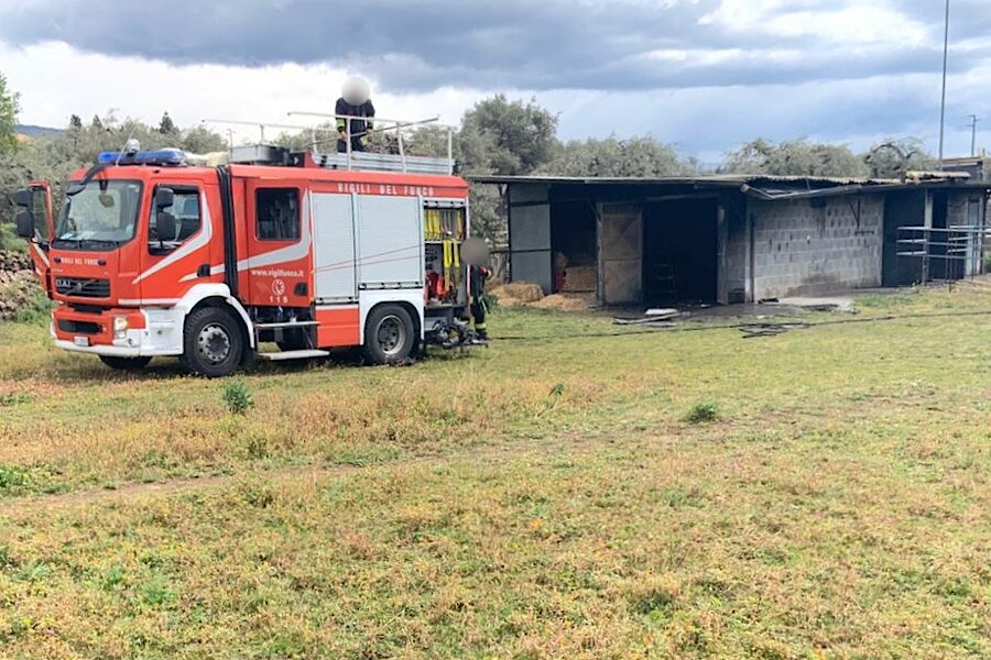 Biancavilla. Incendio in una stalla. Ustionato un cavallo