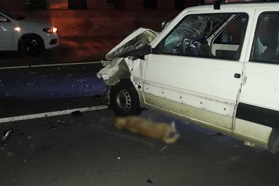 Santa Maria di Licodia. Impatto semifrontale sulla Ss121