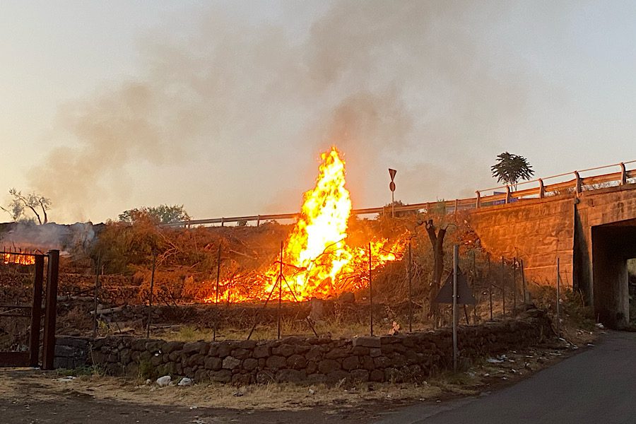 Santa Maria di Licodia. Incendio all’interno di un terreno agricolo
