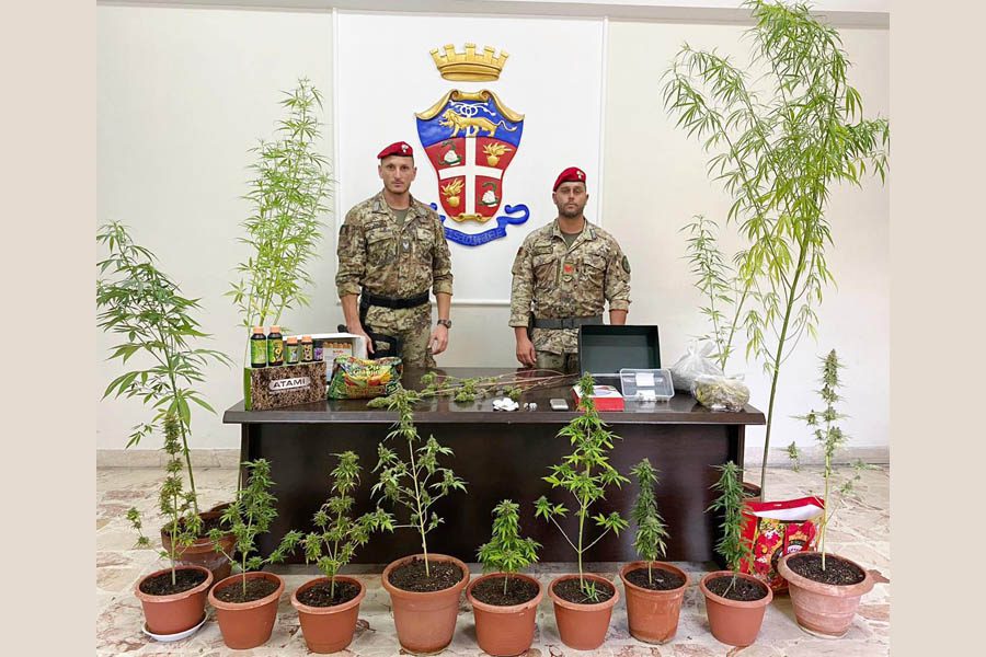 Paternò. Coltivava l’erba sul terrazzo: arrestato 23enne