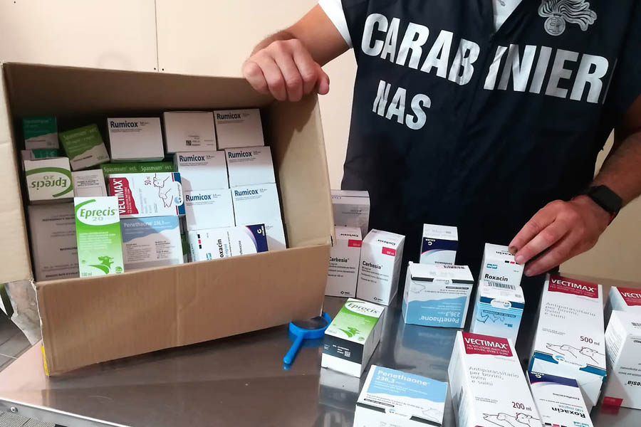 Farmaci non autorizzati sul bestiame: denunciati allevatore e veterinario