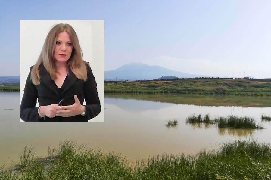 Elisa Coppola (Vivisimeto): «Ponte Barca, volontariato non può sostituirsi a istituzioni»