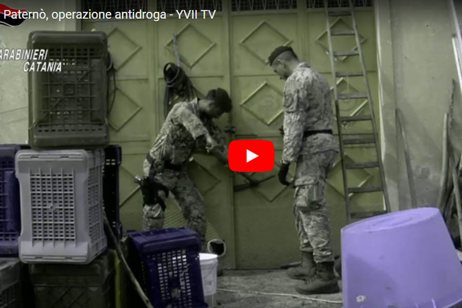 Paternò. Operazione antidroga: 6 arresti, sequestrata una tonnellata di marijuana (VIDEO)
