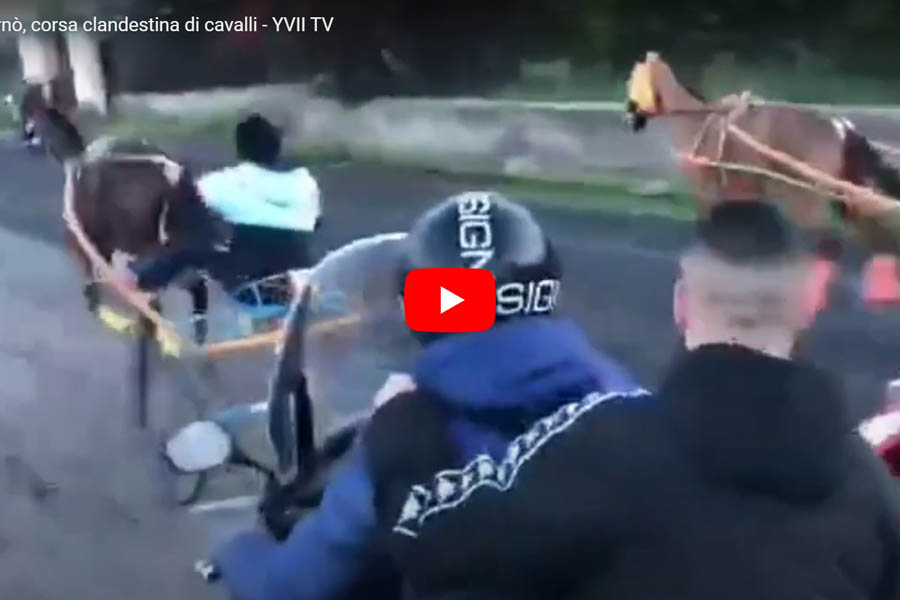 Paternò. Corsa clandestina di cavalli, denunciati zio e nipote