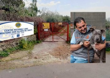 Biancavilla. Nasce il Centro Nazionale Lions per addestrare i cani allerta diabete