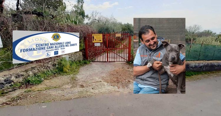 Biancavilla. Nasce il Centro Nazionale Lions per addestrare i cani allerta diabete