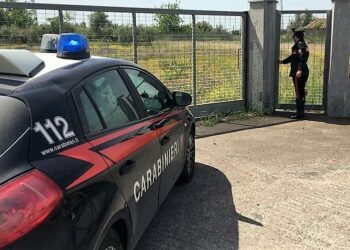 Paternò. Occultava in campagna munizioni di ogni genere: denunciato