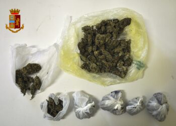 Adrano. Denunciato 22enne per detenzione ai fini di spaccio di droga