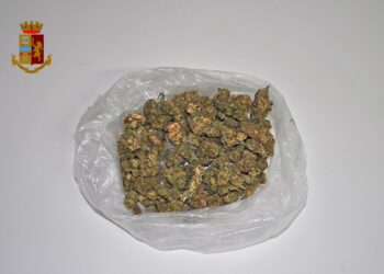 Adrano. Denunciato 56enne per detenzione di stupefacente ai fini di spaccio