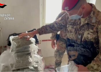 Belpasso. Piazza dei profumatori per coprire l’odore della marijuana: ma i “cacciatori” ne sequestrano 4,5 Kg