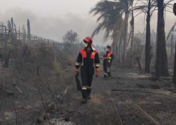 Incendi. La riflessione di un volontario della Protezione Civile Adrano: “Albè, ma chi te lo fa fare?”