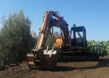 Santa Maria di Licodia. In fiamme escavatore e tetto di abitazione