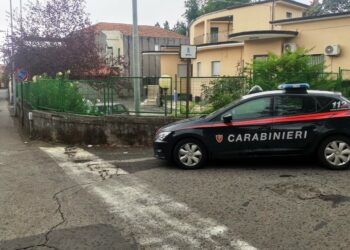 Belpasso. Fugge a bordo di auto rubata: inseguito, bloccato ed ammanettato