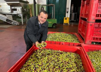 Santa Maria di Licodia. Il sindaco Cateno De Luca in visita ad aziende del territorio