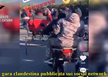 Paternò. Corse clandestine di cavalli: due denunciati.