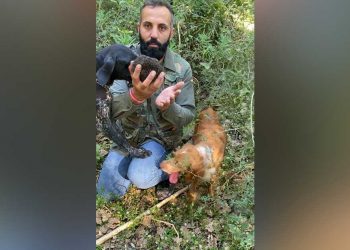 Licodiese trova tartufo record nel siracusano