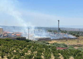 S.M. di Licodia. Vasto incendio all’interno del cimitero “nuovo”