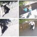 Biancavilla. Telecamere incastrano altri “zozzoni”