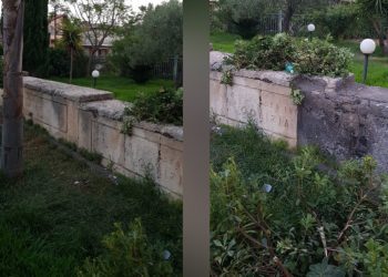 S.M. di Licodia. Vandali danneggiano piante del sagrato della chiesa della Consolazione
