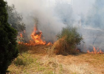 Ragalna. In corso vasto incendio di macchia mediterranea