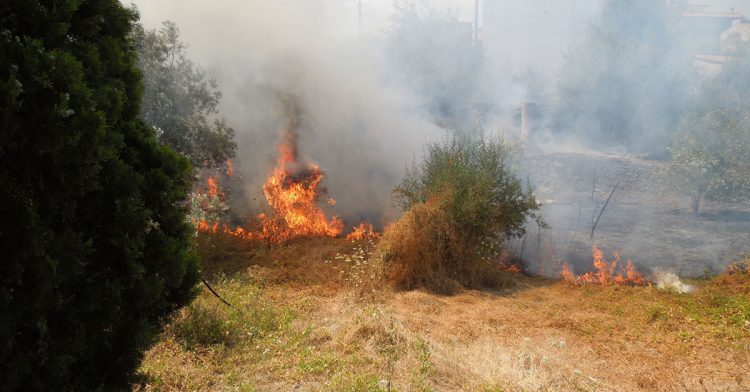 Ragalna. In corso vasto incendio di macchia mediterranea
