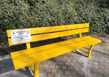 S.M. di Licodia. Consiglio approva mozione su “Panchina Gialla” per l’endometriosi