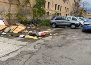 Sicilia. Uccide gatto e lo mangia