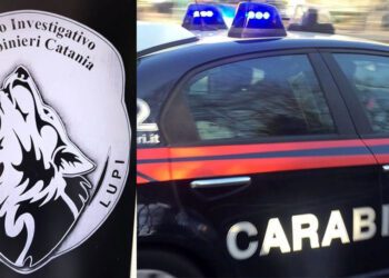 Catania. Si era appena rifornito di dosi da consegnare, arrestato pusher