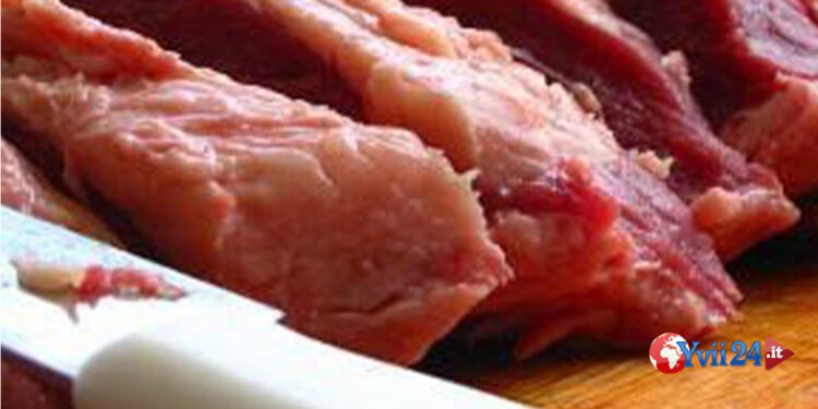 Paternò. Generi alimentari privi di tracciabilità