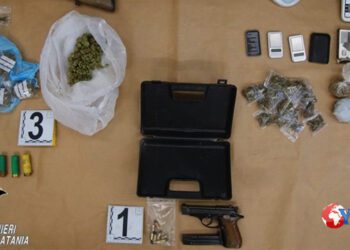 Catania. Trovate in una stalla armi e droga