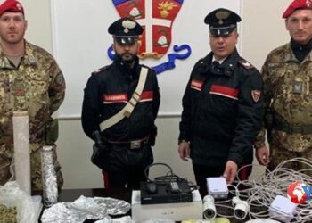 Paternò. In casa con quasi 800 grammi di marijuana