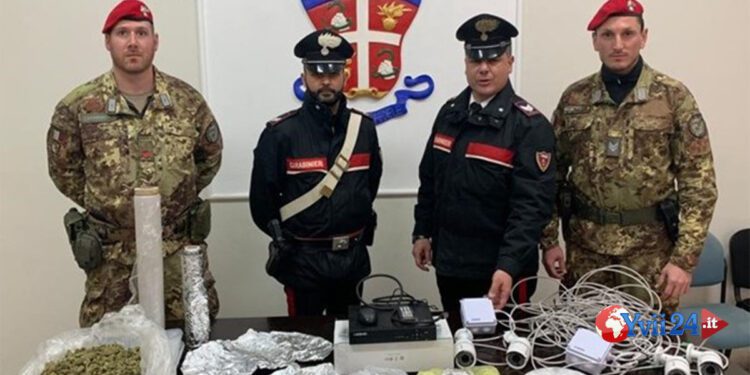 Paternò. In casa con quasi 800 grammi di marijuana