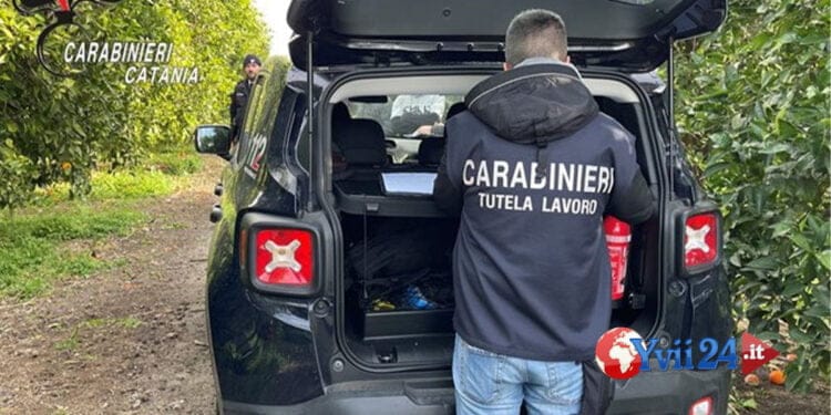 Paternò. Sfruttava lavoratori, arrestato imprenditore