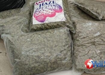 Catania. Droga e armi, arrestato figlio di esponente clan Cappello Bonaccorsi