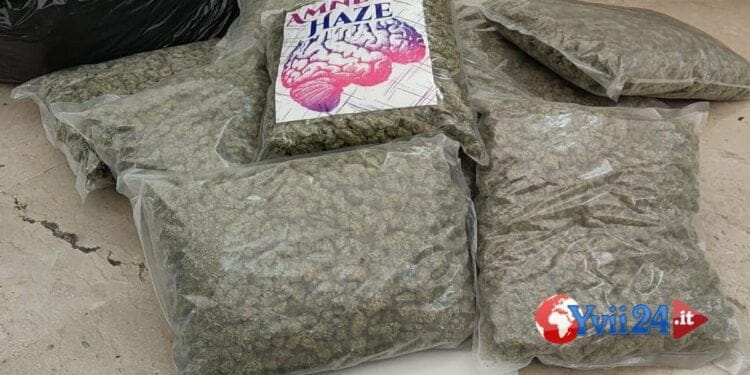 Catania. Droga e armi, arrestato figlio di esponente clan Cappello Bonaccorsi