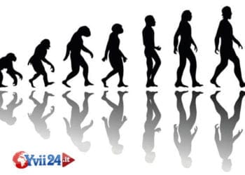 Come si fa ? Come si può, così cambiare, così da un colore all’altro ?