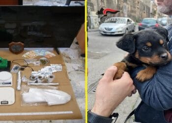 Catania. Cane e telecamere per difendersi dai controlli antidroga: arrestate 5 persone