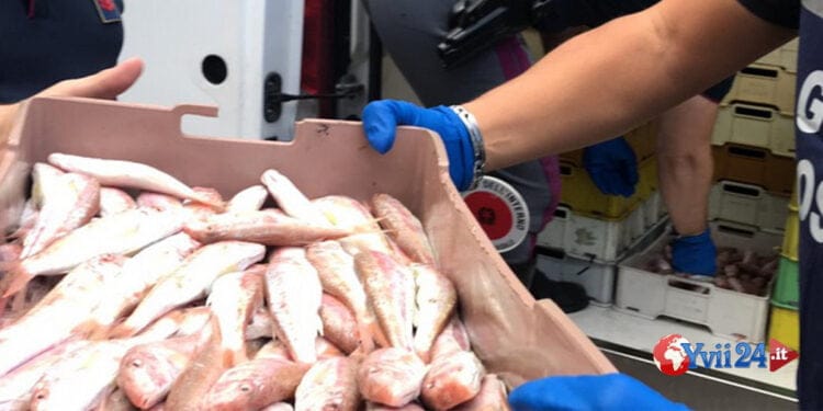 Prov. Catania. Attività conservava il pesce in un bagno pubblico